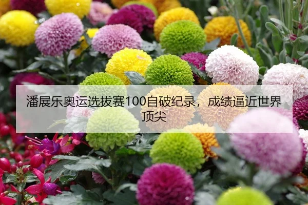 潘展乐奥运选拔赛100自破纪录，成绩逼近世界顶尖