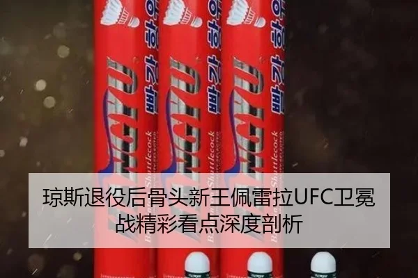 琼斯退役后骨头新王佩雷拉UFC卫冕战精彩看点深度剖析