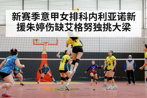 volleyball match action